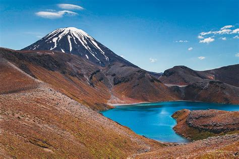 Best Hikes In New Zealand The Iconic Great Walks Laidback Trip