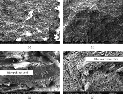 SEM Of The Tensile Fractured Surface Of PP PLA Oat Hull Composites A