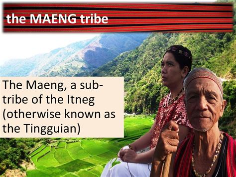 The Maeng Tribe