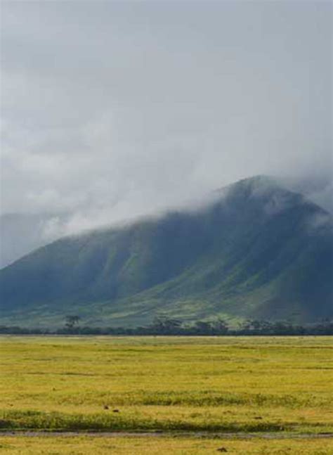 Ngorongoro Conservation Area || Ongeri Expeditions