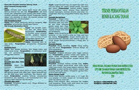 Pdf Hama Dan Penyakit Tanaman Kacang Tanah Hama Tanaman Kacang