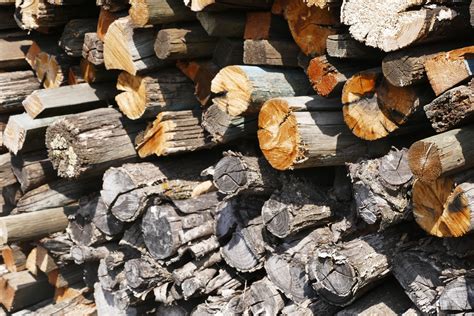 Free Images Rock Trunk Soil Firewood Lumber Material Storage