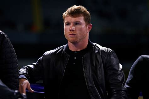 Cuáles Son Las Causas Que Ha Apoyado El Canelo Álvarez Fuera Del Ring