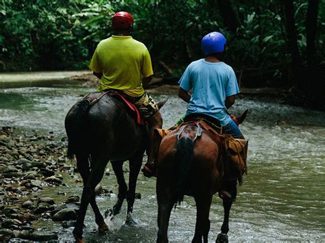 HORSEBACK RIDING TOUR | Manuel Antonio Shuttles