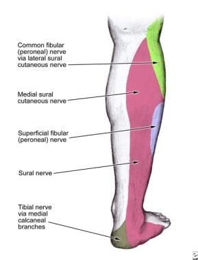 Superficial Peroneal Nerve Block