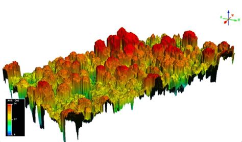 Canopy Height Model Chm 3 Dimension Using Quick Terrain Modeller Qtm Download Scientific