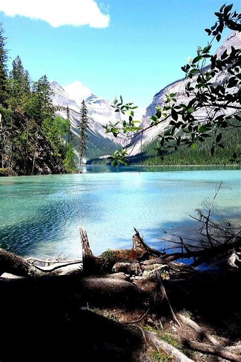 Kinney Lake First Stop On The Berg Lake Trail At Mount Robson