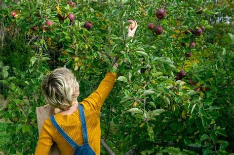 Fastest Growing Fruit Trees For Your Garden Tipsforsurvivalists