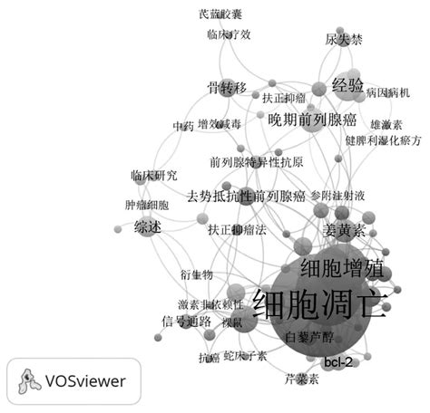 中医药治疗前列腺癌的知识图谱分析 参考网