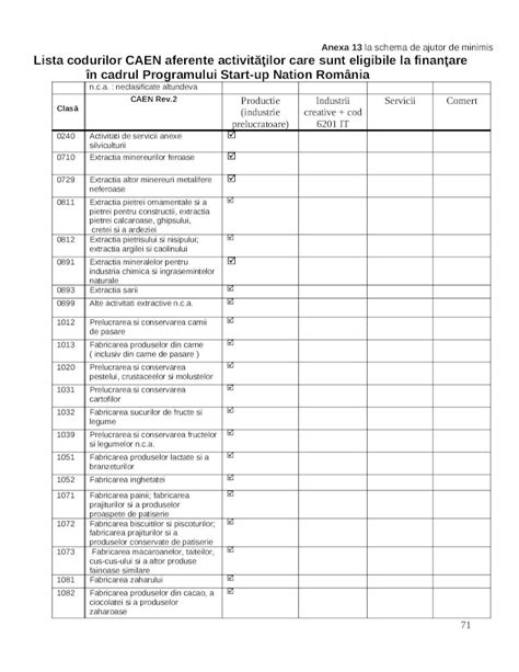 DOC Microsoft Word CAEN Rev 2 Doc Web ViewAnexa 13 La Schema De