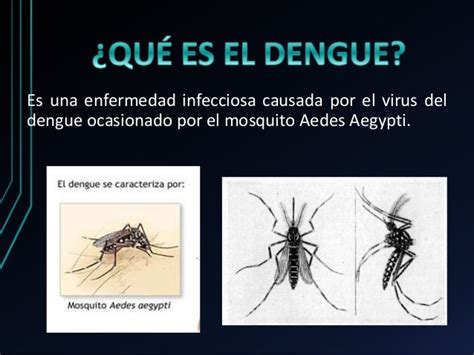 Prevención Contra El Aedes Aegypti