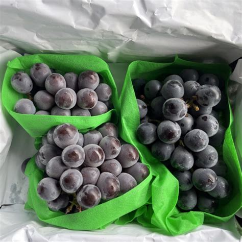 Kyoho Grapes Seeded 4 500g Fresh Collective