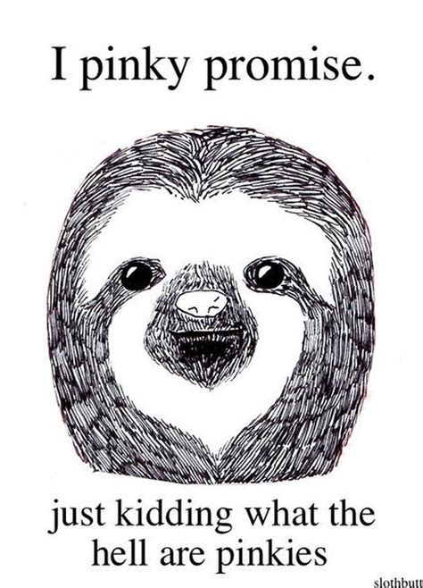 Pin by Smlong82377-20 on Sloths | Sloths funny, Sloth, Sloth meme