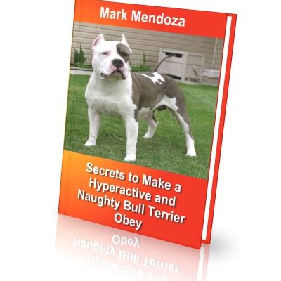 Bull Terrier Training Secrets PREMIUM