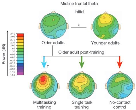 Frontal Theta Activity Assisted Living And Senior Care In The Caribbean