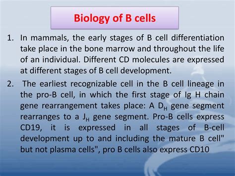 Biology Of B Cells In Mammals The Early Stages Of B Cell