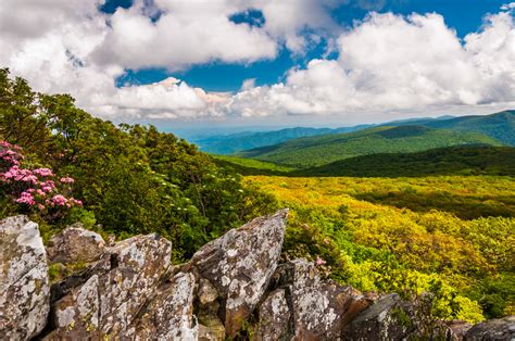 Best Southern Usa National Parks For Your Bucket List Southern