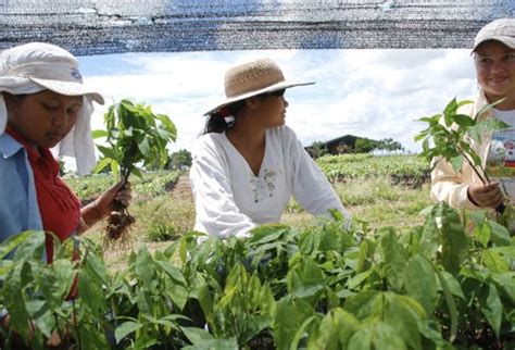 Conozca La Ley Que Favorece A Las Mujeres Rurales CONtexto Ganadero