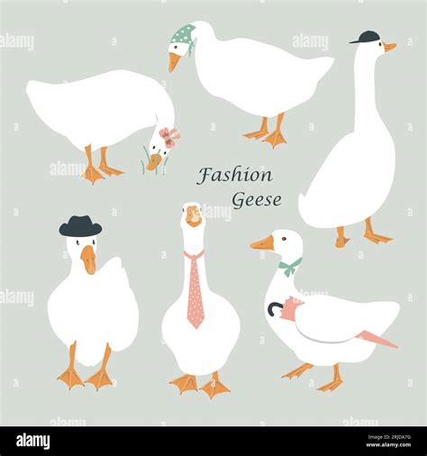 Set Of Cute Dressed Geese Goose In A Hat Tie Scarf And With Umbrella Funny Vector