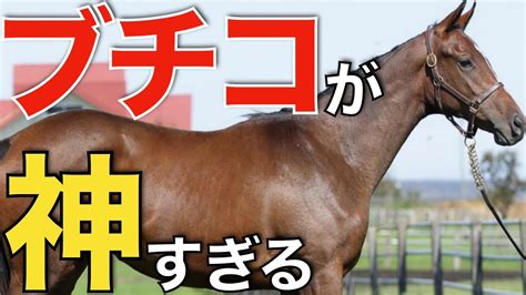 【2仔連続】ソダシに続いて全妹ママコチャもg1勝ち！ブチコが神繁殖牝馬になりそう。 Youtube