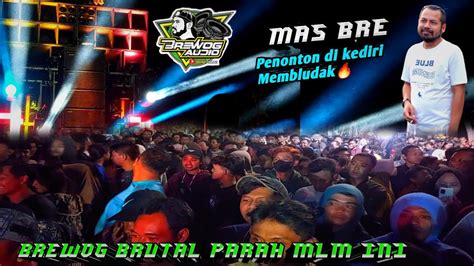 Brewog Cek Sound Ampuh Di Kediridi Kota Ank Brewog Rwj Audio Youtube