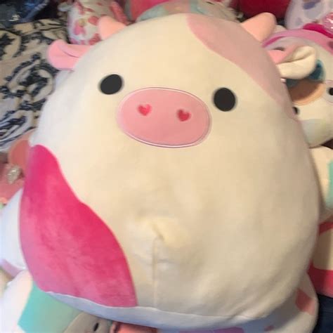 Squishmallows Toys Caedyn The Cow 6 Inch Squishmallow Nwt Rare Poshmark