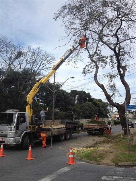 Serviço De Poda E Corte De árvores Está Sendo Realizado Por Toda A