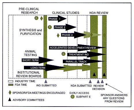 FDA Drug Approval Process Chart