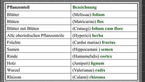 Morphologie Karteikarten Quizlet