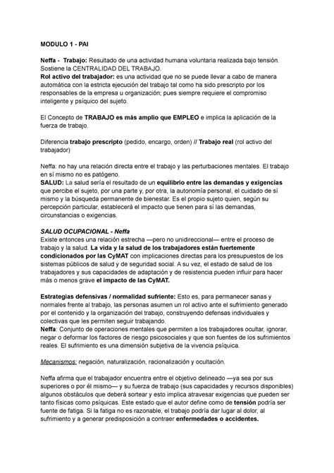 Pai M Y M Resumen Modulo Y Modulo Pai Neffa Trabajo