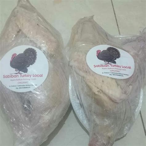 Jual Ayam Kalkun Siap Potong And Ternak Kota Bekasi Sabiban Farm