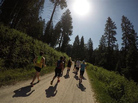 schönsten Trailrunning Strecken im Nationalpark Schwarzwald