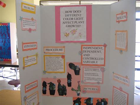 Plant Growth Experiment Hypothesis Description My Science Fair Project Education