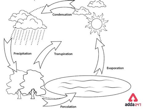 Water Cycle Diagram for Kids of Class 3 with Explanation