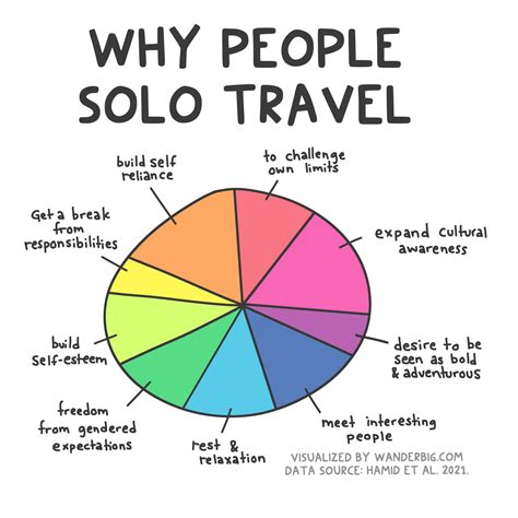 Why People Solo Travel: A Pie Chart of Reasons to Travel Alone