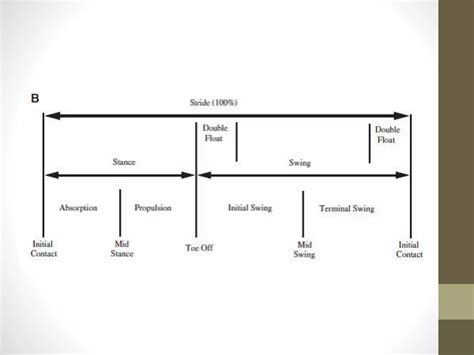 Biomechanics of Running | PPTX