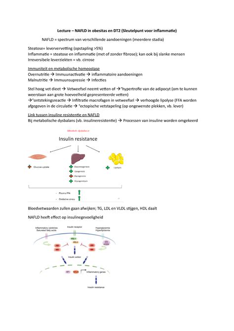 Lecture Nafld Lecture Nafld In Obesitas En Dt2 Sleutelpunt Voor