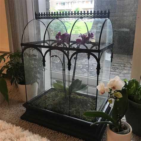 H Potter Terrarium Large Glass Wardian Case Unique T Idea Display