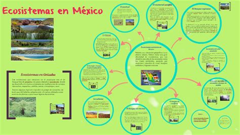 Ecosistemas en México by sarai crisanto garcia on Prezi