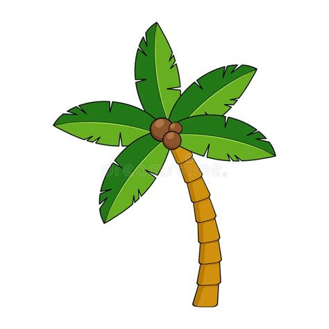 Coco Palm Cartoon Isolated On White Tropical Palm Tree Clipart Stock