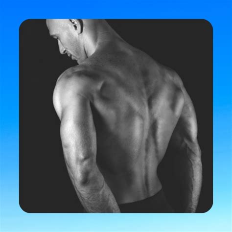 dos epaules   mn laura estheticienne energeticienne lille