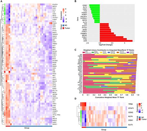 Transcription Factor Analysis Of Genes Related To Cscc A Thermograms