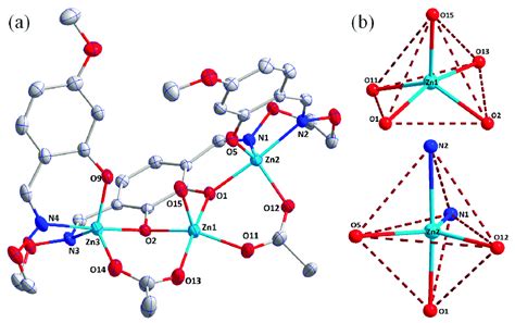 A Representation Of The Zn II Coordination Compound Structure B