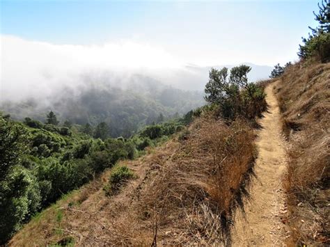 Mount Tamalpais State Park Hiking Trails Dipsea Sun And Flickr