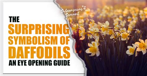 The Surprising Symbolism Of Daffodils: An Eye Opening Guide ...