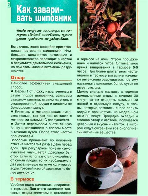 Чай для диабетиков: 4 разрешенных вида, аптечные чаи, рецепты приготовления