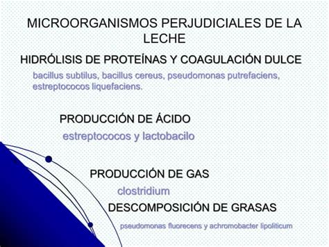 Microbiologia Lacteos Ppt