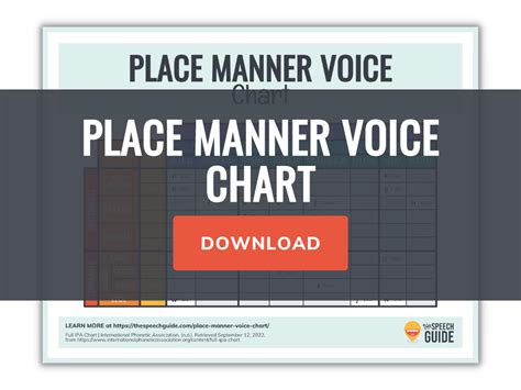 Place Manner Voice Chart The Speech Guide