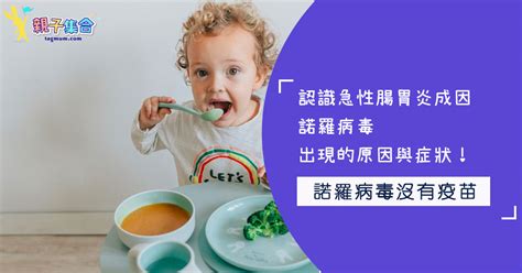 認識急性腸胃炎成因—諾羅病毒出現的原因與症狀！ Line購物