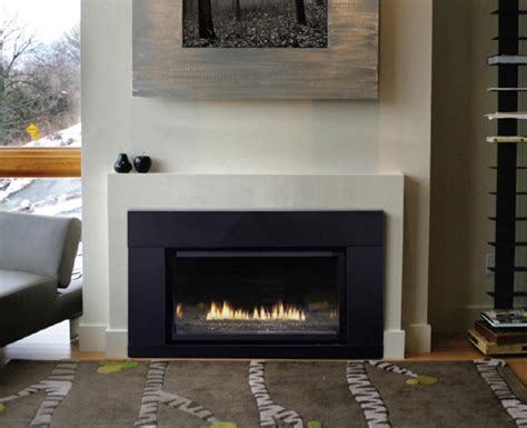 Fireplace Inserts Gas With Modern Style | HomeMydesign